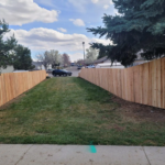petrifiedfenceboise