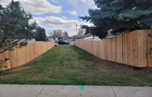 petrifiedfenceboise
