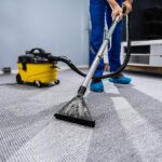 professional carpet cleaners 