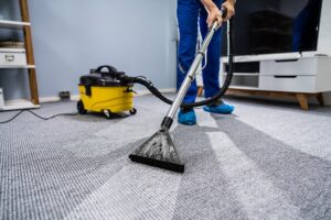 professional carpet cleaners 