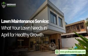 lawn care in Delaware