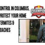 termite pest control near me