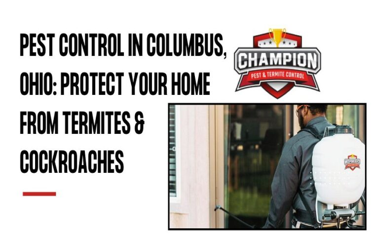 termite pest control near me