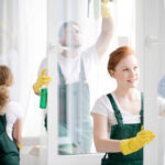 professional cleaners in Dublin